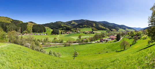 Panoramalandschaft im Gutachtal, Schwarzwald - obrazy, fototapety, plakaty