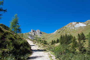 Obraz premium Wanderweg zum Naturschutzgebiet Paarseen Schuhflicker Heukareck