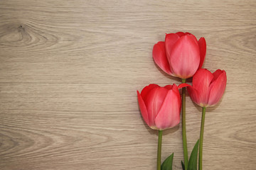 Three tulips 