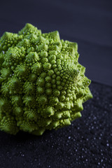 Cabbage romanesco on a dark background