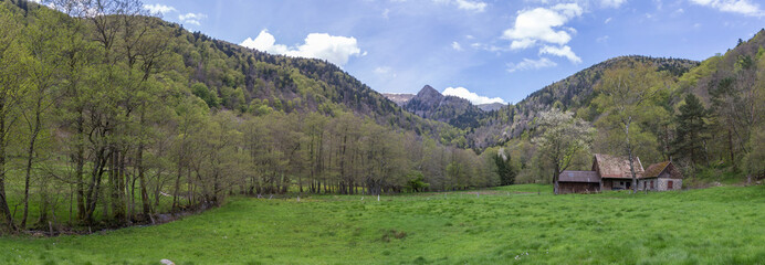 Obraz premium le massif des Vosges