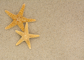 Fototapeta na wymiar Dos estrellas de mar sobre fondo de arena en una playa, con espacio publicitario