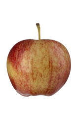 fresh apple