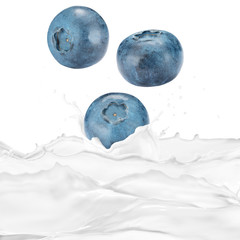 Blueberry With Milk Splash