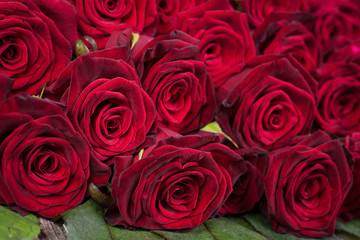 Natural red roses