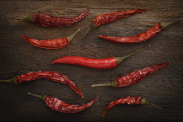 a fresh chili among other dry chilies 