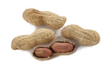 fresh organic peanuts