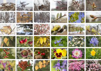 Collage "the seasons", A3, horizontal