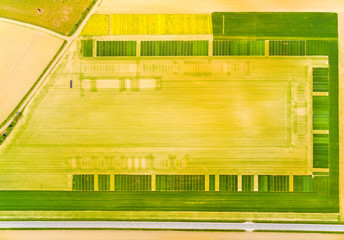 Aerial view to green fields with geometric pattern. Agricultural landscape in Czech Republic, Central Europe. 