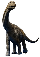 Obraz premium Argentinosaurus from the Cretaceous era 3D illustration