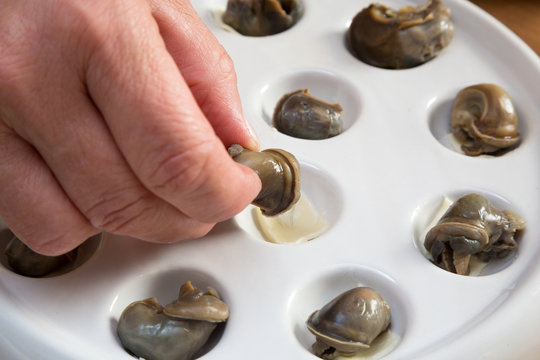 Close-up of chef preparing snails.