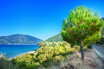 Fototapety na wymiar - Fototapeta24.pl