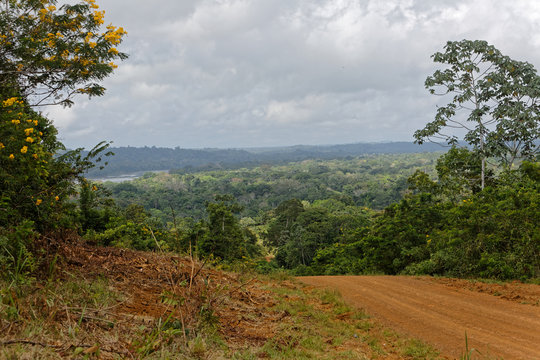 La forêt amazonienne et le fleuve Maroni vus d'une piste à Papaïchton en Guyane française