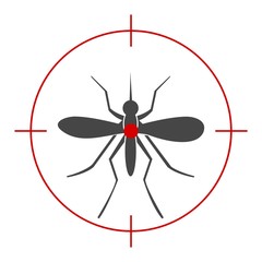 Zika virus alert