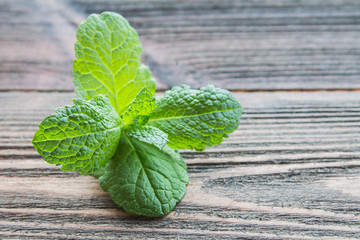 mint on a wooden background