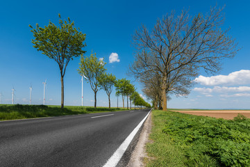 Deutsche Landstraße, Allee, in Rheinland-Pfalz und Windräder im Hintergrund unter sommerlich blauem Himmel