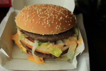 Hamburger in a carton box