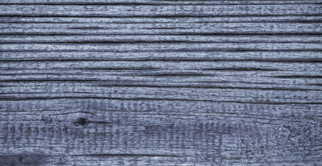 Fototapeta premium Wood Material Surface Background Wood Texture