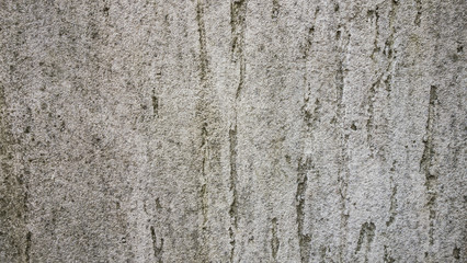 Obraz premium Old grunge wall