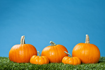 halloween pumpkins arranged in a row.