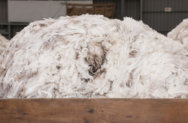 Pile of high quality merino wool in wooden box