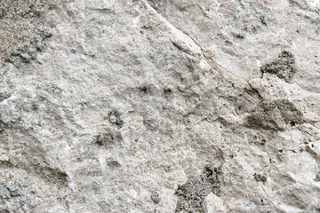 Grunge texture of old white stone walls