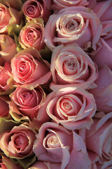 Pink roses in a bridal arrangement