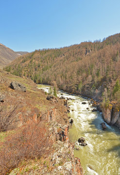 canyon river in the Altai mountains in Siberia