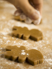 ginger bread in a flour
