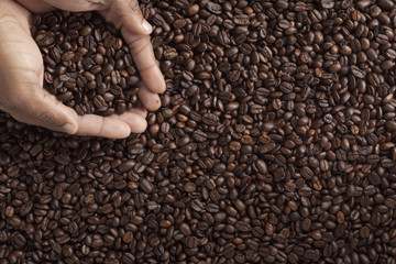 human hand with coffee beans.