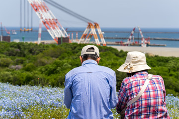 Senior people sitting on bench, enjoying ocean view