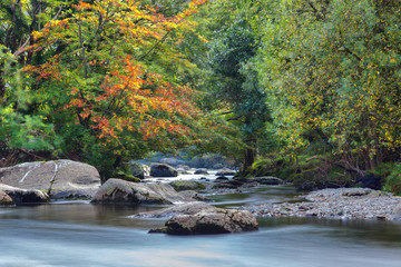Naklejka na ściany i meble View along the Glaslyn River in autumn