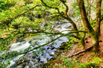 View along the Glaslyn River in autumn