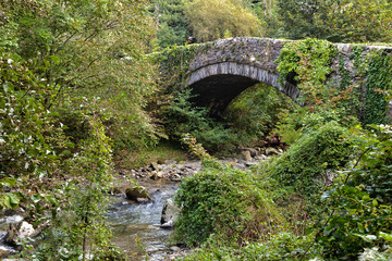 Fototapeta na wymiar Traditional stone bridge over the Glaslyn River