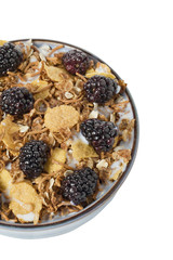 cropped image of cereal and blueberries in a bowl