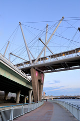 Australia Landscape : Kurilpa Bridge of Brisbane