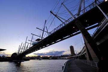 Fototapeta na wymiar Australia Landscape : Kurilpa Bridge of Brisbane