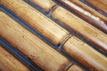 bamboo raft