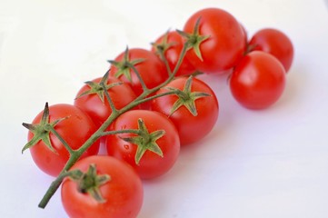 Tomatoes on the white background
