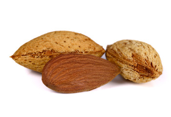 almond on white background