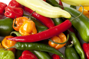 bunch of assorted kinds of chili peppers
