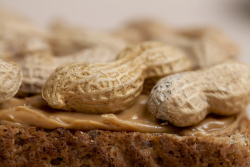 wheat bread with peanut butter spread and peanuts