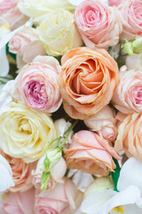 Roses of different colors