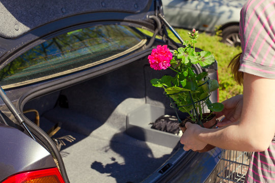 Junge Frau stellt Blumen in den Kofferraum
