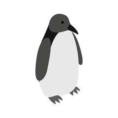 Penguin icon, isometric 3d style