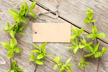 Green plants and blank tag