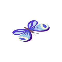 Blue butterfly icon, isometric 3d style