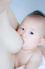 おっぱいを飲む日本人の赤ちゃん