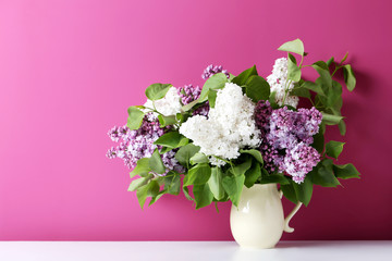 Blooming lilac flowers in the vase on pink background