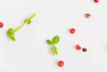 Closeup of fresh herb and red pepper peas.